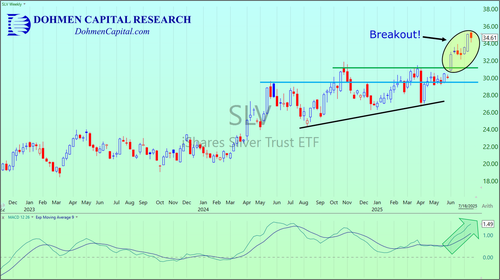 Dohmen Capital Research - SLV