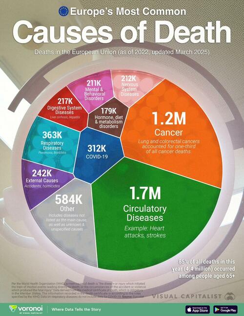 Europe’s Top Causes Of Death, Ranked; Cancer Is #2