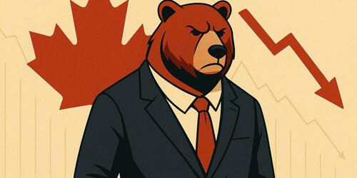 A frowning bear in front of a Canadian flag and a downward arrow. 