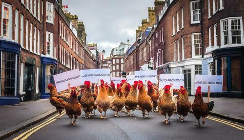 The UK’s “Chicken License” Rebellion: The Good Way To Deal With Bad Laws