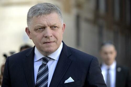 Slovak PM Fico Questions NATO Membership, Sparks Backlash Over Call For Neutrality thumbnail