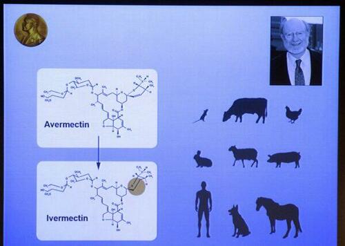 Un portrait de William Campbell et une illustration décrivant ses travaux affichés sur un écran lors de la conférence de presse du prix Nobel de médecine 2015. William Campbell et Satoshi Omura ont remporté le prix Nobel de médecine pour leurs découvertes de traitements contre les parasites - l'avermectine, qui a été modifiée en Ivermectin. (JONATHAN NACKSTRAND/AFP via Getty Images)