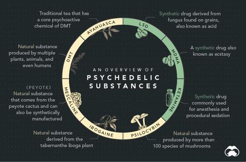 Visualizing The History Of Psychedelics, Part 1 | ZeroHedge