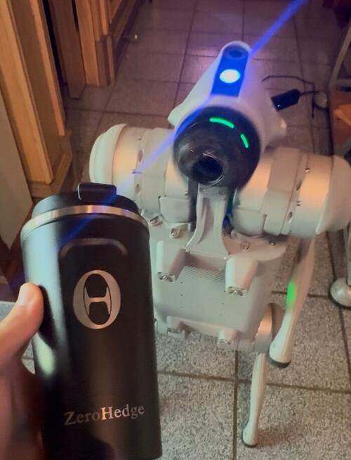 Humanoid Robot Roundup: Tesla Kicks Off Optimus Pilot Production As Goldman Tours China's Supply Chain thumbnail