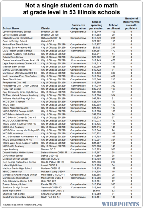 Not-a-single-student-can-do-math-at-grade-level-in-53-Illinois-schools-696x1014.png