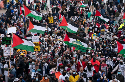 A Pro-Palestinian Rally on October 8th in New York