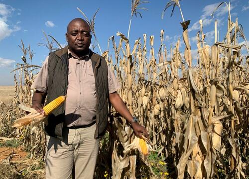 South African Farming Crisis May Trigger Food Shortages Across The Continent