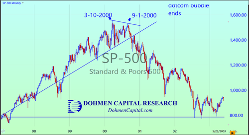 Dohmen Capital - S&P 500 Year 2000