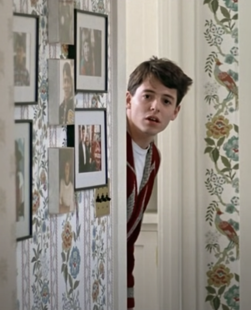 A shot from the last scene of the movie Ferris Bueller's Day Off, in which Ferris looks into the camera, surprised that people are still watching after the credits