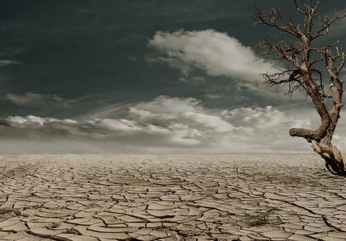 Wildfire And Drought Risks Spike As California Enters Dry Season With Just 18% Snowpack