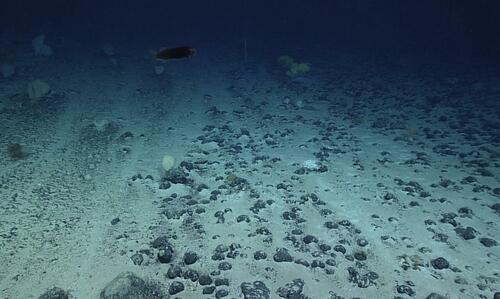 China Maps South China Sea Floor At Twice The Resolution Of Global Models