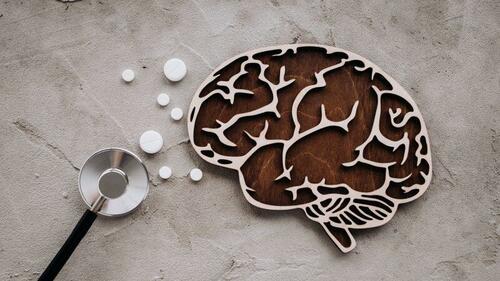 The Pandemic Of Fake Psychiatric Diagnoses The Pandemic Of Fake Psychiatric Diagnoses