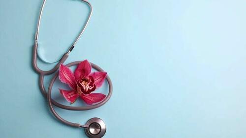The Great Menopause Grift