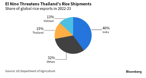 Thai Rice Crop In Crosshairs Of El Nino As Farmers Are Warned About Water Shortages