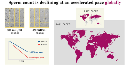 Sperm count infographic