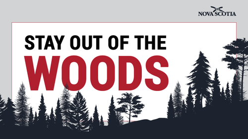 Canadians In Nova Scotia Now Banned From Using Public Forests Canadians In Nova Scotia Now Banned From Using Public Forests