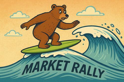 A bear surfing a market rally.