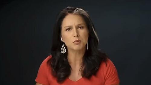 ​Watch: Tulsi Gabbard Suing Biden/Harris Admin For Placing Her On Terrorist Watch List – Tyler Durden