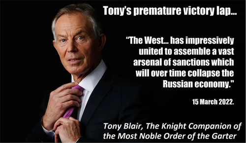 Sir Tony, the Knight Companion