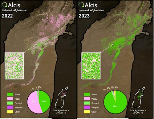 Data from Alcis shows that a majority of Afghan farmers switched from growing poppy to wheat in a single year