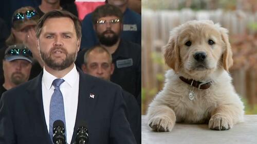 Vance: Dems Would Come Out Against Puppies If Trump Said He Likes Them