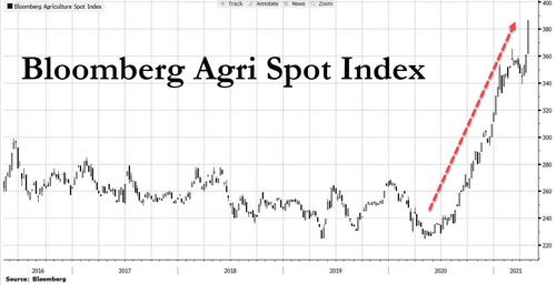 [Image: agri%20index_0.jpg?itok=6Cwgd5iv]