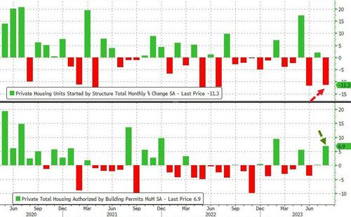 Housing Starts Plunged In August As Renter-Nation Collapses