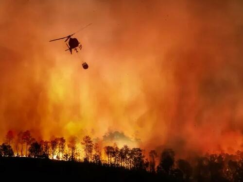 The Idiocracy That Is California Politics thumbnail