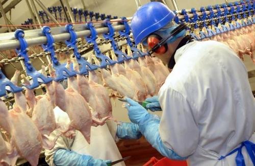 Großbritanniens „Hühnerkönig“ warnt: Die Ära der billigen Lebensmittel ist vorbei