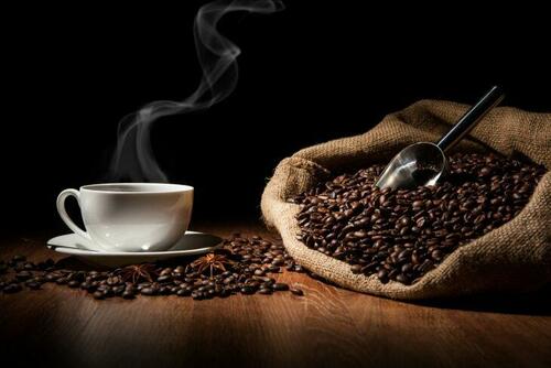 Portland Café To Sell ‘Black Jaguar Geisha’ Coffee For $150 A Cup