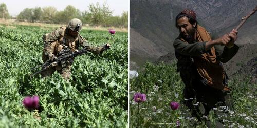 Left, a US Marine picks a flower as he guards a poppy field in 2012 in Helmand Provine. Photo | DVIDS. Right, A man breaks poppy stalks as part of a 2023 campaign to target illegal drugs in Afghanistan. Oriane Zerah | AP