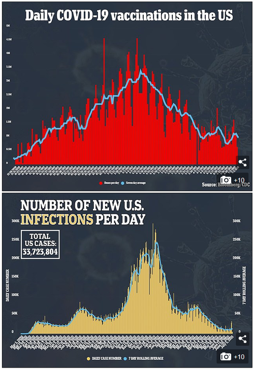 [Image: daily%20vax.PNG?itok=Lt6riBpo]