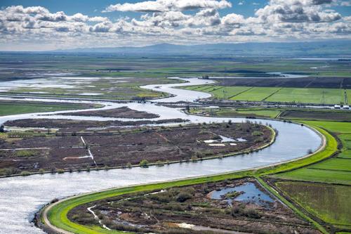 Farms Along California Delta In Jeopardy
Amid Fears Senior Water Rights Could Be Curtailed 2