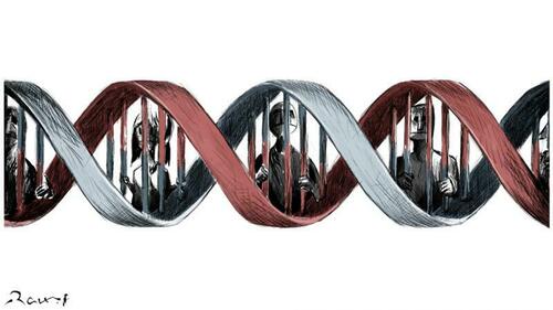 The Genetic Panopticon: We’re All Suspects In A DNA Lineup, Waiting To Be Matched With A Crime
