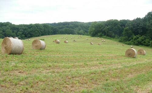 New MAGA Weapon: ‘Fight Tanks’ For Rural America