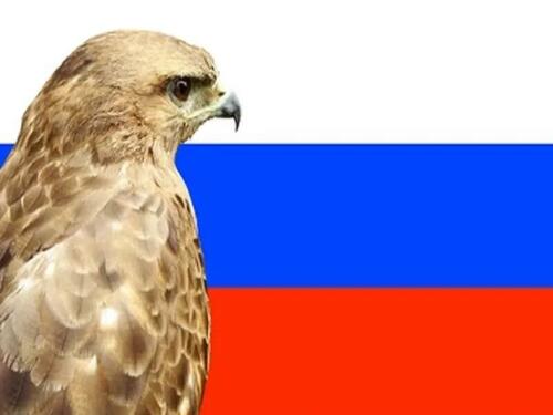 Putin Powerfully Rebuffed The Hawks Who Want Him To Attack NATO