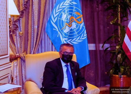 WHO Convenes Global Session To Dictate How The Coming Influenza Pandemic Will Be Run