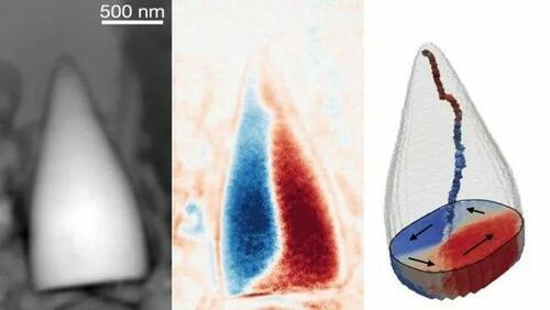 Stunned Scientists Discover ‘Magnetic’ Mystery Creature Inside Ancient Fossil