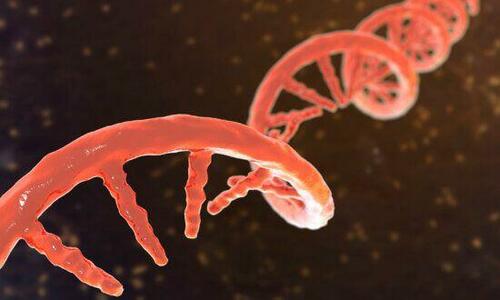 Chinese University Reviewing Gene Editing Research As Family Discloses Daughter's Death