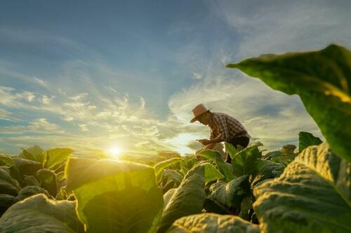 Stop Imagining Dystopia: We Can Create A Garden Of Eden Future