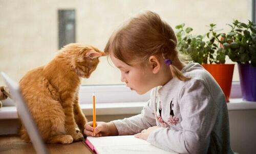 Homeschooling Numbers Continue To Climb After COVID-19 Pandemic: Report