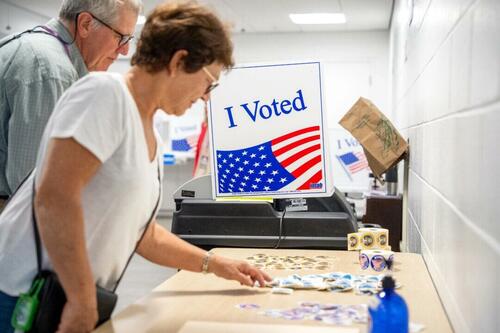 More Than 1,600 Voters Removed In Virginia Under Noncitizen Program