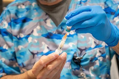 CDC Advisers Recommend Against MMRV Combo Vaccine For Young Kids, Table Vote On Hep B Shot