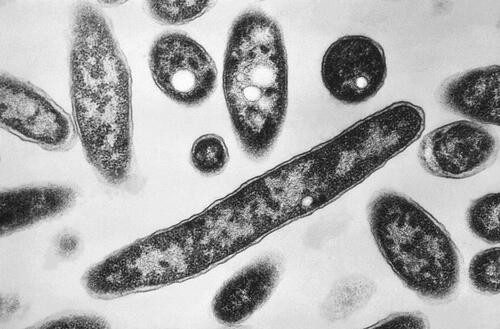 Legionnaires' Cases Rise In Manhattan's Upper East Side As Dozens Of Cooling Towers Test Positive