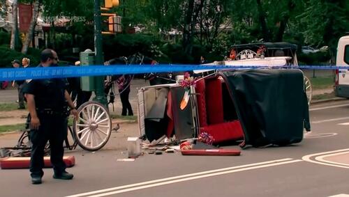 NYC Council Grapples With Debate Over Bill To Ban Horse-Drawn Carriages