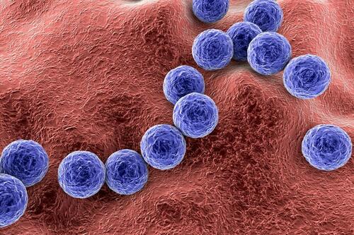 ​Scientists Develop New Compound That Kills Flesh-Eating And Other Drug-Resistant Bacteria – Tyler Durden