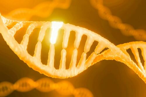 Genes Are Not Your Destiny. How To Modify Your Epigenetics For Longevity