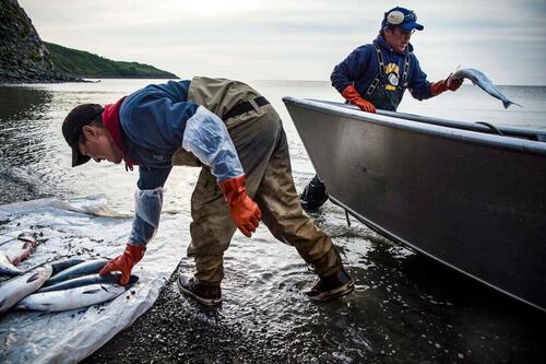 ​Federal Appeals Court Reverses Decision, Keeps Alaska Salmon Fishery Open – Tyler Durden