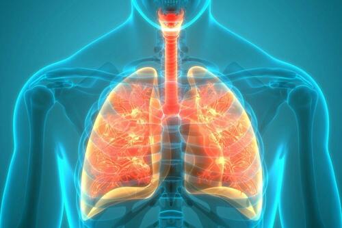 Most COVID Lung Abnormalities Heal Over Time, New Guidelines Confirm image 80%2835%29 0
