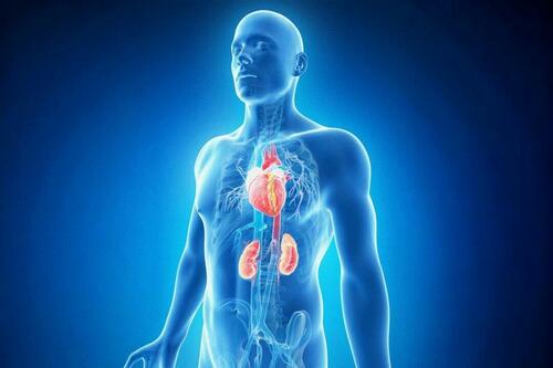 New Heart-Kidney Syndrome Affects 90% Of Americans… And You’ve Probably Never Heard Of It New Heart-Kidney Syndrome Affects 90% Of Americans… And You’ve Probably Never Heard Of It